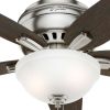 Hunter Fan Newsome Low Profile with Light 42 Inch